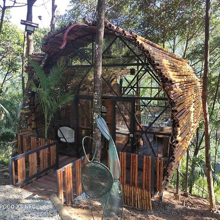 Hotel Glamping San Luis Nativa Exteriér fotografie