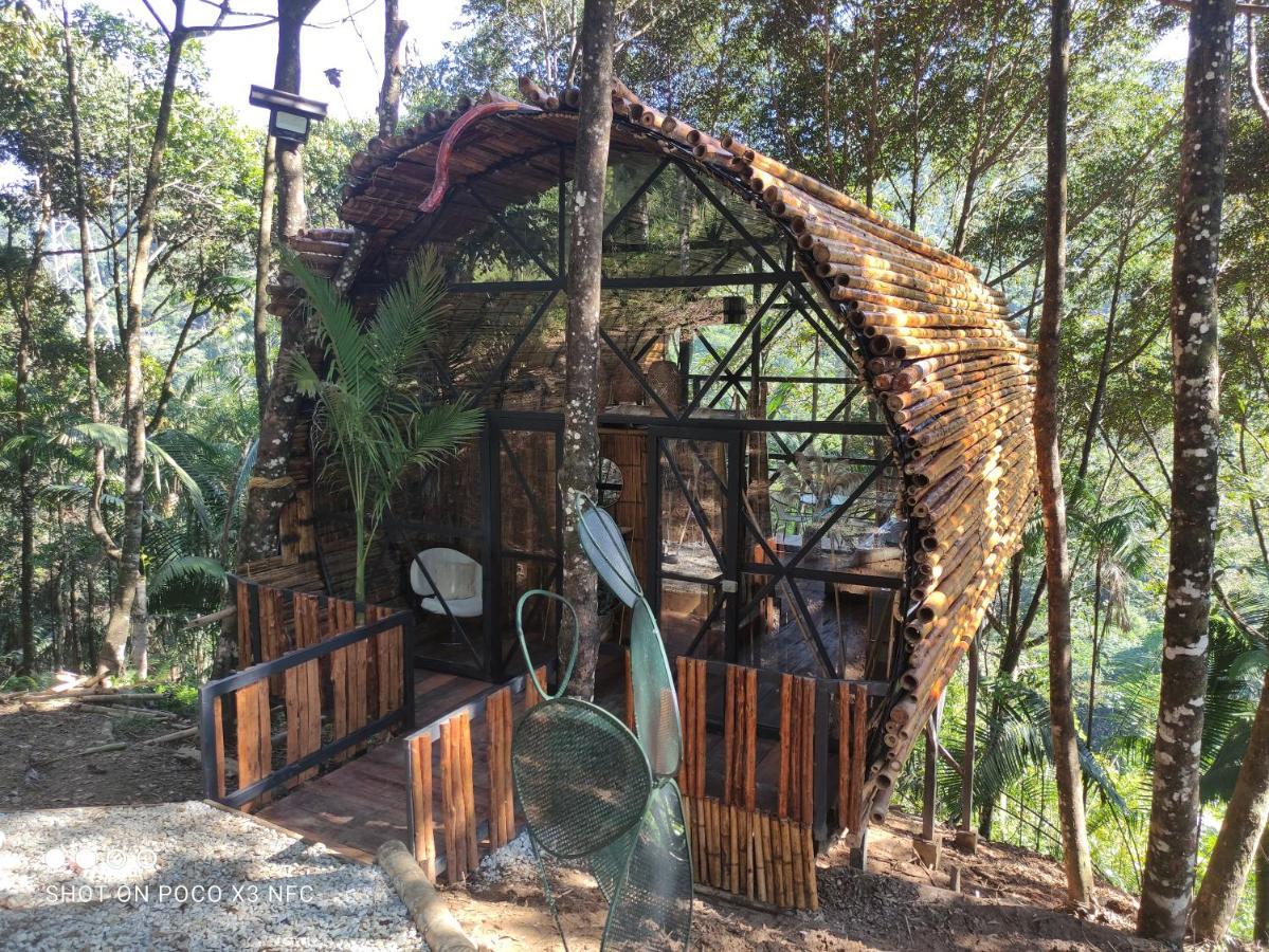 Hotel Glamping San Luis Nativa Exteriér fotografie