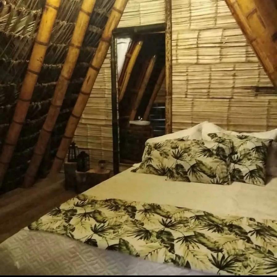 Hotel Glamping San Luis Nativa Exteriér fotografie