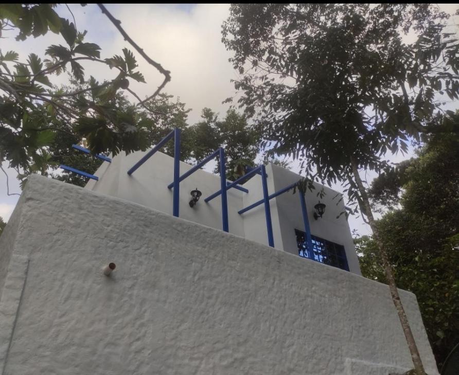 Hotel Glamping San Luis Nativa Exteriér fotografie